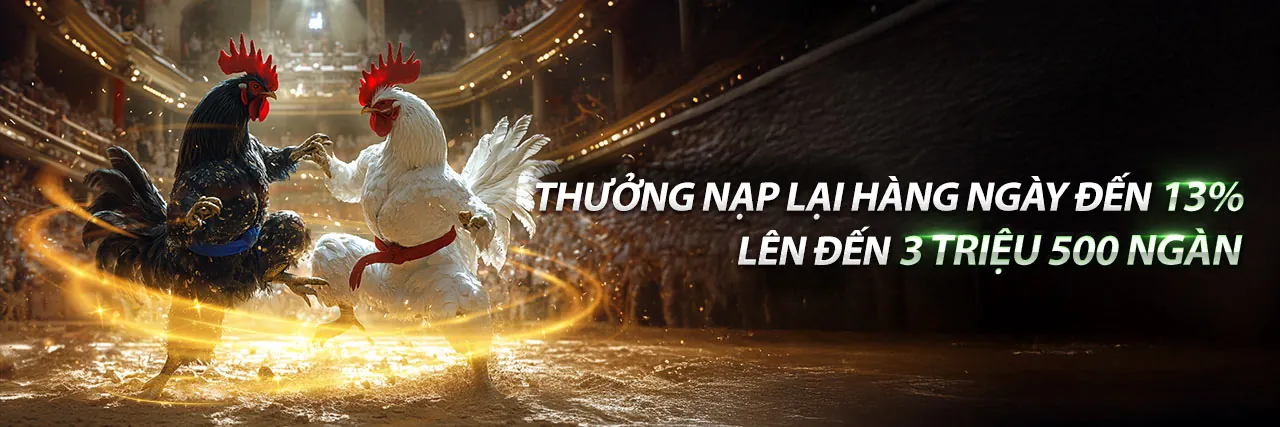 Hình ảnh chính về cá cược thể thao tại 69vn15 trang chủ chính thức